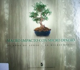 Macro impacto con micro dinero : 25 años de apoyo a la microempresa