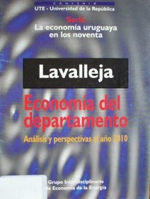 Lavalleja : economía del departamento : análisis y perspectivas al año 2010