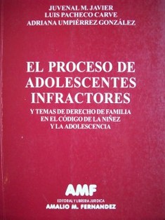 El proceso de adolescentes infractores y temas de derecho de familia en el Código de la Niñez y la Adolescencia