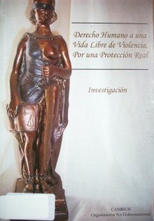 Derecho humano a una vida libre de violencia : por una protección real : investigación