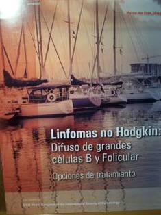 Linfomas no Hodgkin : difuso de grandes células B y folicular. Opciones de tratamiento