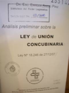 Análisis preliminar sobre la Ley de Unión Concubinaria : Ley Nº 18.246 de 27/12/07