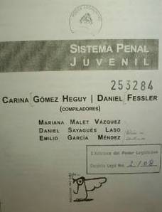 Sistema penal juvenil