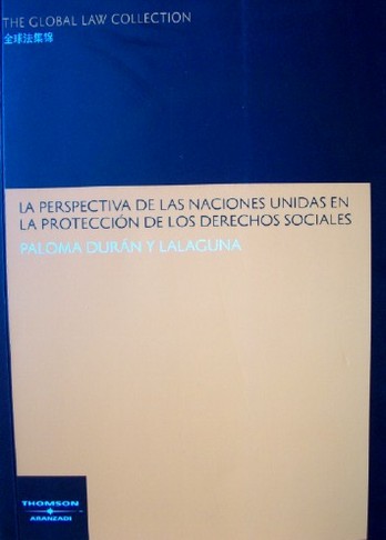 La perspectiva de las Naciones Unidas en la protección de los derechos sociales