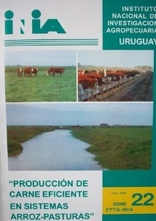 Producción de carne eficiente en sistemas arroz-pasturas