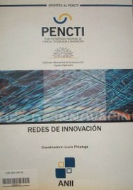 Area Redes de Innovación : informe final de la consultoría sobre "Fomento a la conformación de redes y consorcios entre centros de investigación y el sector productivo" en el marco del Plan Estratégico Nacional en Ciencia[,] Tecnología e Innovación