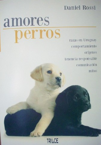 Amores perros