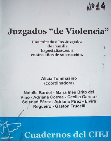Juzgados "De Violencia" : una mirada a los juzgados de familia especializados, a cuatro años de su creación