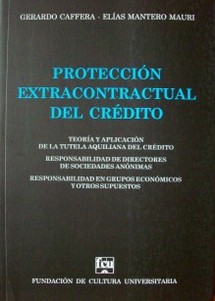 Protección extracontractual del crédito : teoría y aplicación de la tutela aquiliana del crédito : responsabilidad de Directores de Sociedades Anónimas : responsabilidad en grupos económicos y otros supuestos