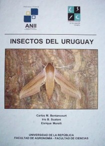 Insectos del Uruguay