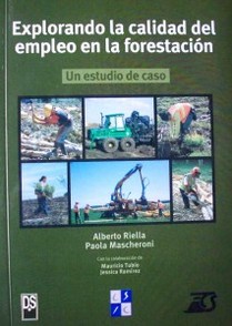 Explorando la calidad del empleo en la forestación : un estudio de caso