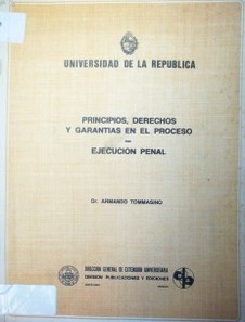 Principios, derechos y garantías en el proceso : ejecución penal