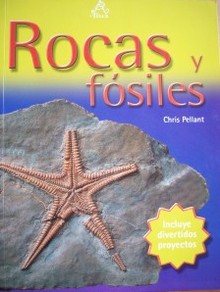 Rocas y fósiles