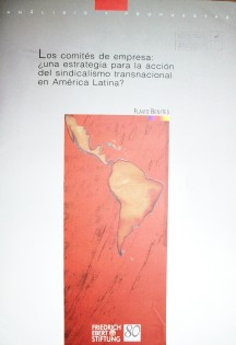 Los comités de empresa : ¿una estrategia para la acción del sindicalismo transnacional en América Latina?