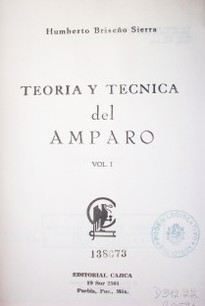 Teoría y técnica del amparo