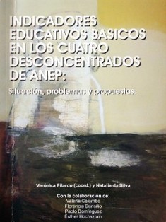 Indicadores educativos básicos en los cuatro desconcentrados de ANEP : situación, problemas y propuestas