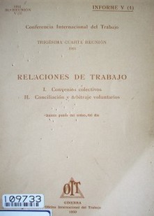 Relaciones de trabajo :quinto punto del orden del día : informe V