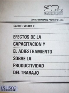 Efectos de la capacitación y el adiestramiento sobre la productividad del trabajo