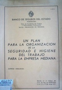 Un plan para la organización de la seguridad e higiene del trabajo para la empresa mediana