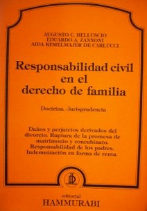 Responsabilidad civil en el derecho de familia