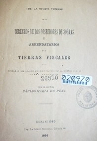 Derechos de los poseedores de sobras y arrendatarios de tierras fiscales : informa in voce en autos que sigue el Fisco con la sucesión Newton sobre desalojo