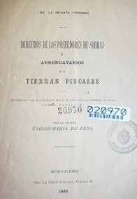 Derechos de los poseedores de sobras y arrendatarios de tierras fiscales : informa in voce en autos que sigue el Fisco con la sucesión Newton sobre desalojo