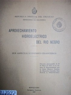 Aprovechamiento hidroeléctrico del Río Negro : sus aspectos económico financieros