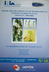 Macropropagación de eucalyptus grandis