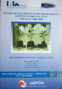 Micropropagación de eucalyptus grandis