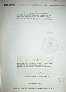 El sector informal : notas sobre la composición del sector informal urbano y sobre los procesos de reproducción de sus integranates