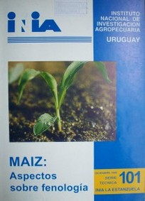 Maíz: aspectos sobre fenología