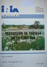 Producción de cebolla en la Zona Sur