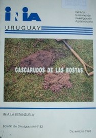 Cascarudos de las bostas