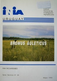 Bromus Auleticus