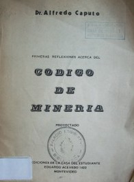 Primeras reflexiones acerca del Código de Minería
