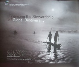 Financing the Stewardship of Global Biodiversity