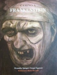 Camino a Frankenstein