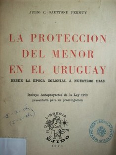 La protección del menor en el Uruguay : desde la época colonial a nuestros días