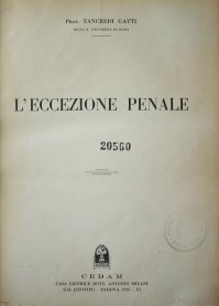 L'eccezione penale