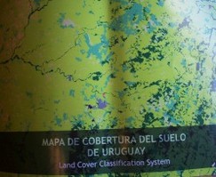 Mapa de cobertura del suelo de Uruguay : Land Cover Classification System