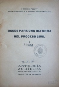 Bases para una reforma del proceso civil