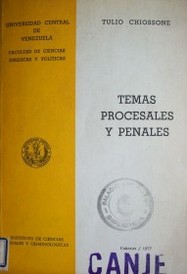 Temas procesales y penales