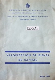 Valorización de bienes de capital