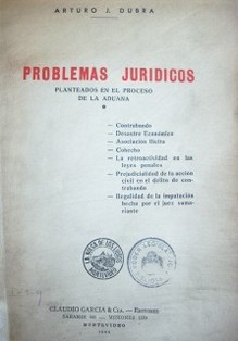 Problemas jurídicos planteados en el proceso de la Aduana