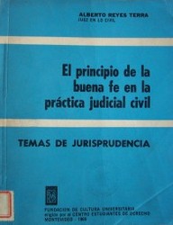 El principio de la buena fe en la práctica judicial civil
