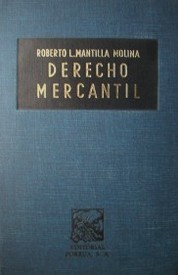 Derecho Mercantil : introducción y conceptos fundamentales : sociedades