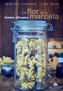 La flor de la marcela : tesoro silvestre