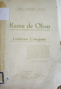 Rama de Olivo : gobierno colegiado