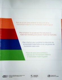 Plan de acción para acelerar la reducción de la mortalidad materna y la morbilidad materna grave = Plan of action to accelerate the reduction in maternal mortality and severe maternal morbidity = Plan d'action pour accélérer la reduction de la mortalité maternelle et les cas graves de morbidité maternelle = Plano de açao para acelera a reduçao da mortalidade materna e morbidade materna grave