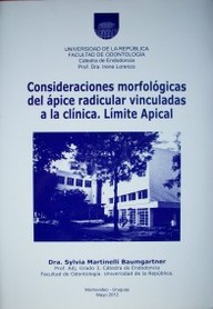 Consideraciones morfológicas del ápice radicular vinculadas a la clínica. Límite apical